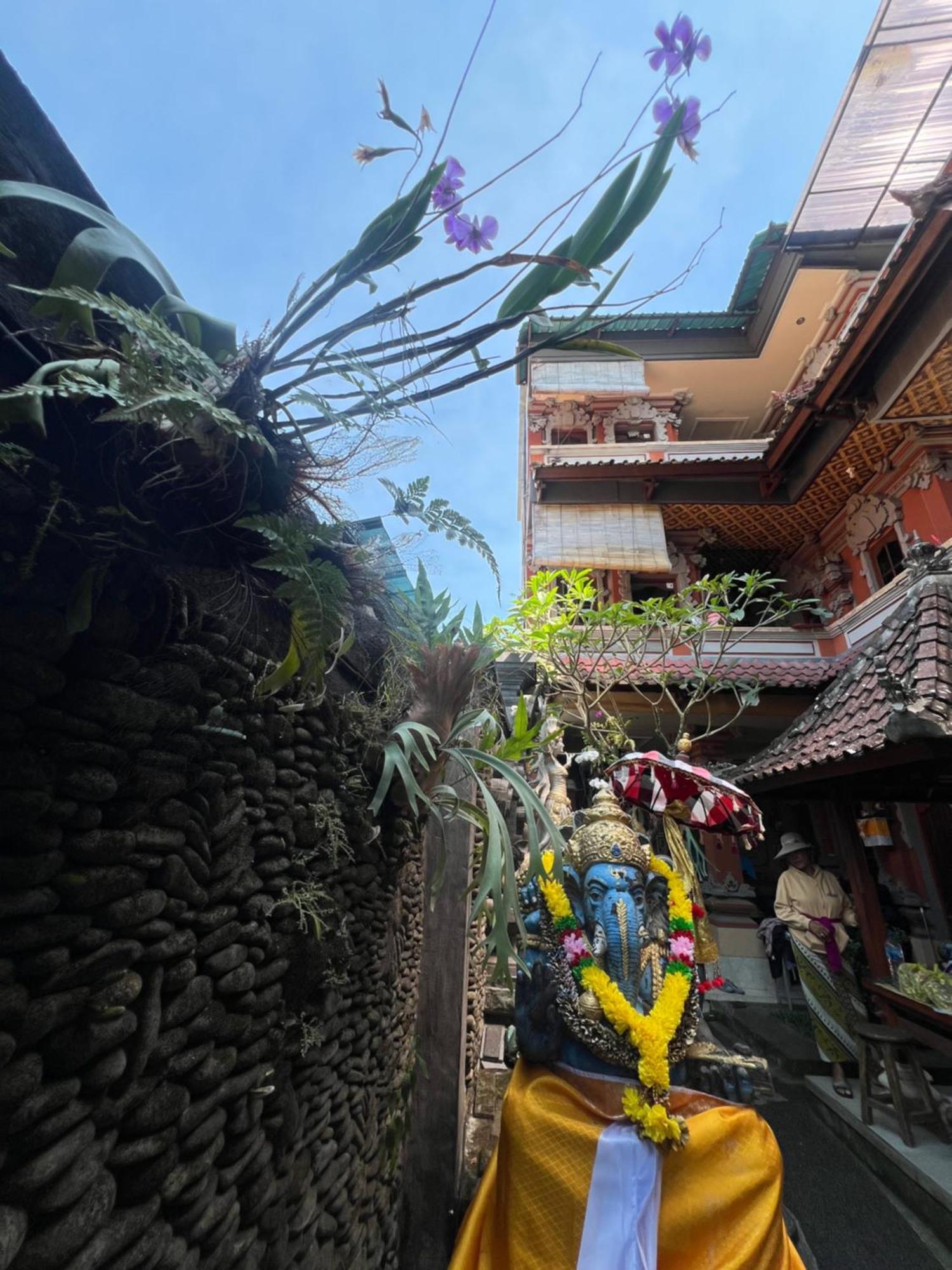 Banana Home Stay Ubud Exteriér fotografie